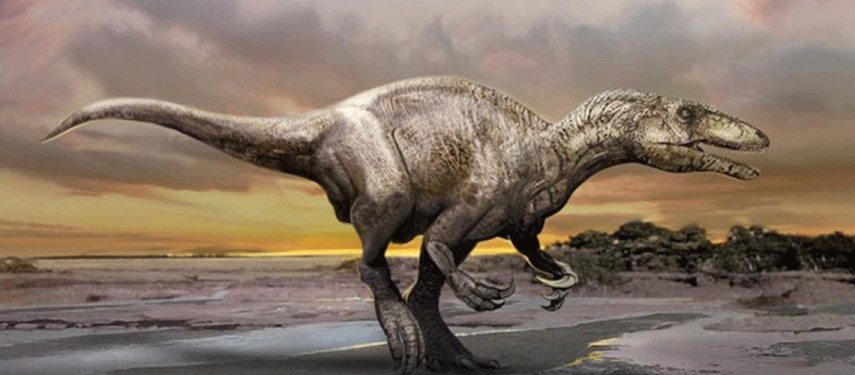 Read more about the article Fossil for one of last megaraptors on planet found in Argentina