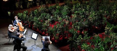 Read more about the article Barcelona’s Gran Teatre del Liceu opera house reopens with concert performed to thousands of plants – in pictures